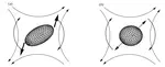 Hysteretic and chaotic dynamics of viscous drops in creeping flows with rotation