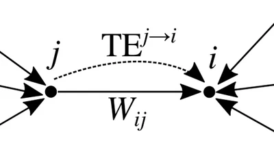 Topological features determining the error in the inference of networks using transfer entropy featured image